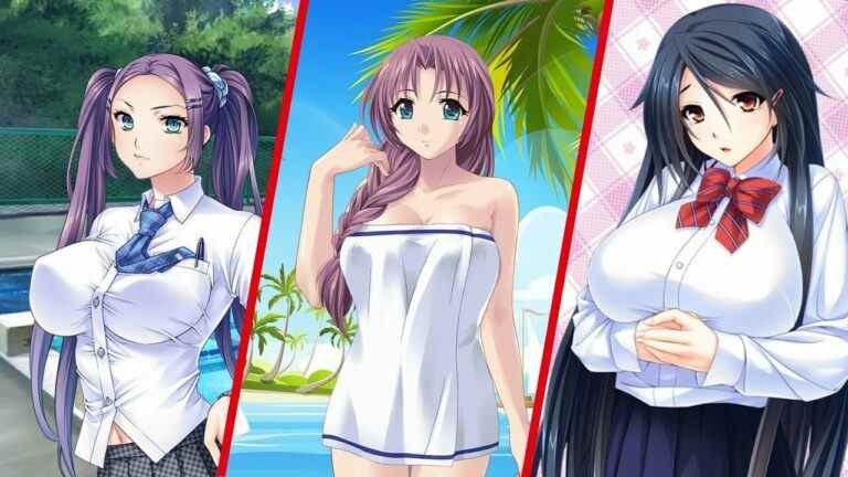 'Pretty Girls Game Collection' amène quatre "Lewd Puzzlers" à changer cet été
