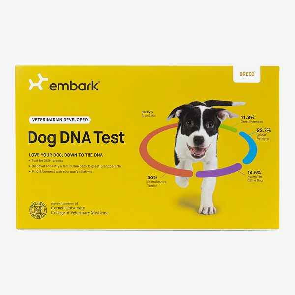 Embarquer le test ADN du chien