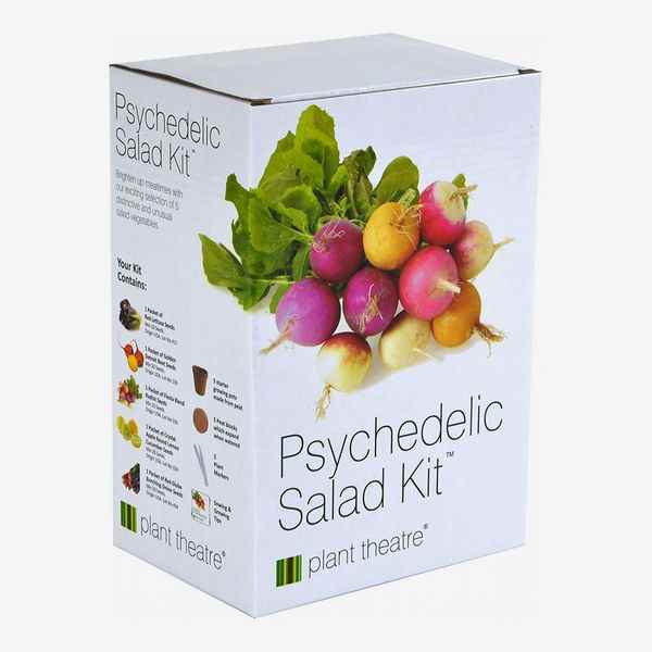 Kit de salade psychédélique Plant Theatre