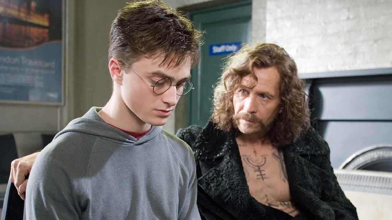 Harry et Sirius dans Harry Potter et l'Ordre du Phénix.