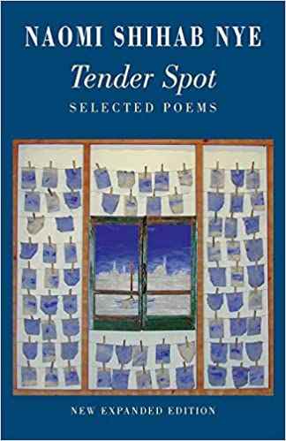 la couverture de Tender Spot