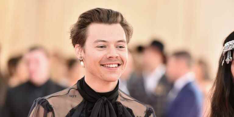 Pourquoi Harry Styles n'a pas été choisi comme Elvis Presley dans un nouveau biopic

