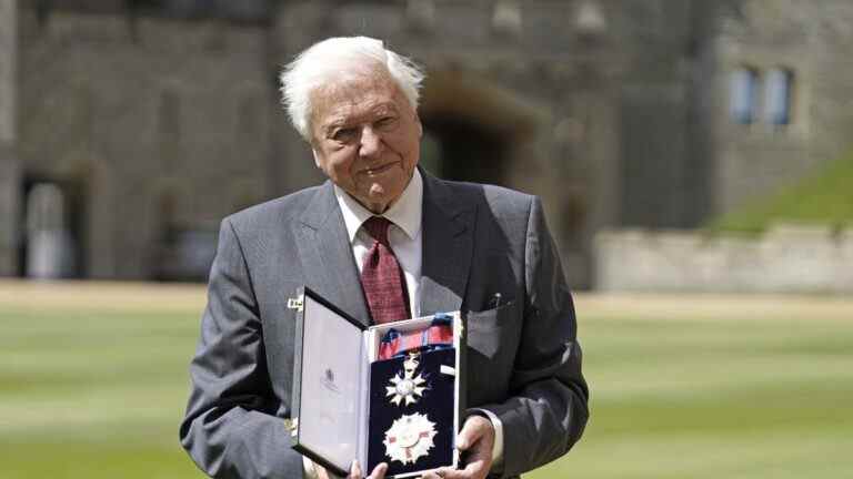 Sir David Attenborough rayonne alors qu’il recueille les hautes distinctions du prince de Galles