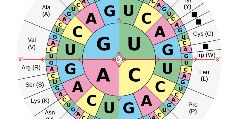 Des mutations considérées comme inoffensives s’avèrent problématiques