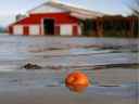 Avec des conditions plus froides que la normale ce printemps qui contribuent à retarder la fonte des neiges, le risque d'inondations printanières demeure élevé dans de nombreuses régions de la province.  Une citrouille flotte dans les eaux de crue près d'une ferme le 21 novembre 2021 à Abbotsford, en Colombie-Britannique.