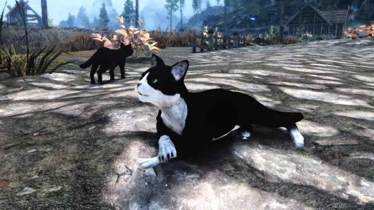 Le mod Skyrim 'Crazy Cat Person' vient de recevoir une révision 2.0
