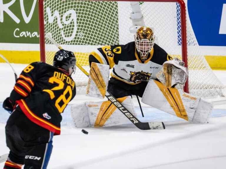 Coupe Memorial : les Sea Dogs de Saint John battent les Bulldogs de Hamilton en premier match