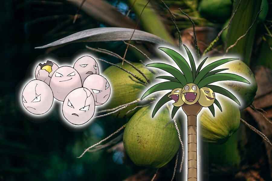 ExeggcuteExegguteur