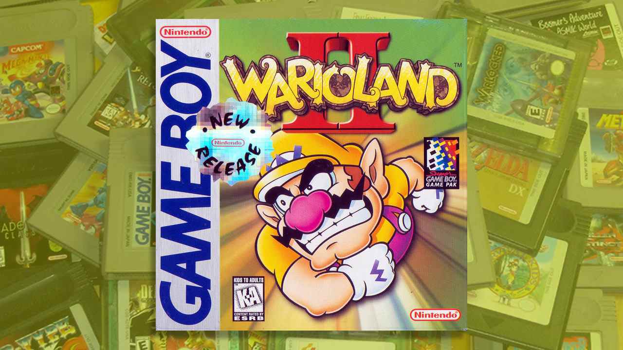 Terre Wario 2