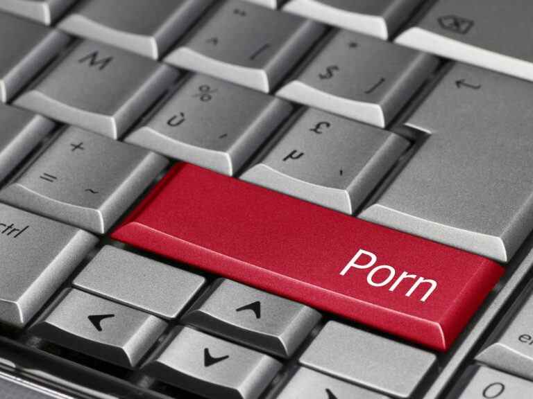 PREMIÈRE LECTURE : Le Canada s’apprête à censurer la pornographie sur Internet pour s’assurer qu’elle est suffisamment « canadienne »