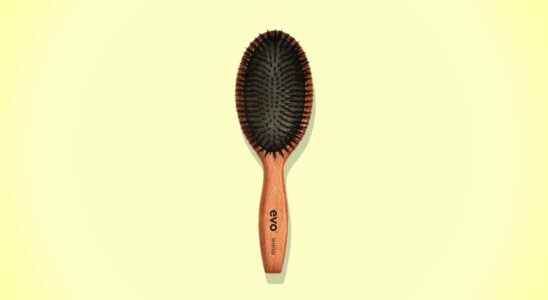 Cette brosse lisse mes boucles comme un Mason Pearson - pour 40 £