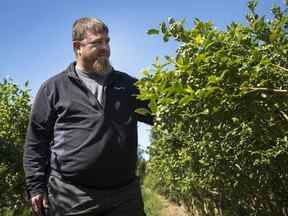 Jason Smith est président du British Columbia Blueberry Council, qui est la plus grande province productrice de bleuets du pays.