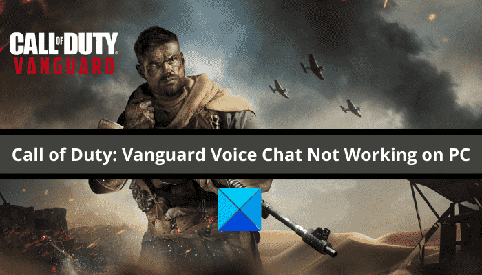 Call of Duty Vanguard Voice Chat ou Mic ne fonctionne pas sur PC [Fixed]