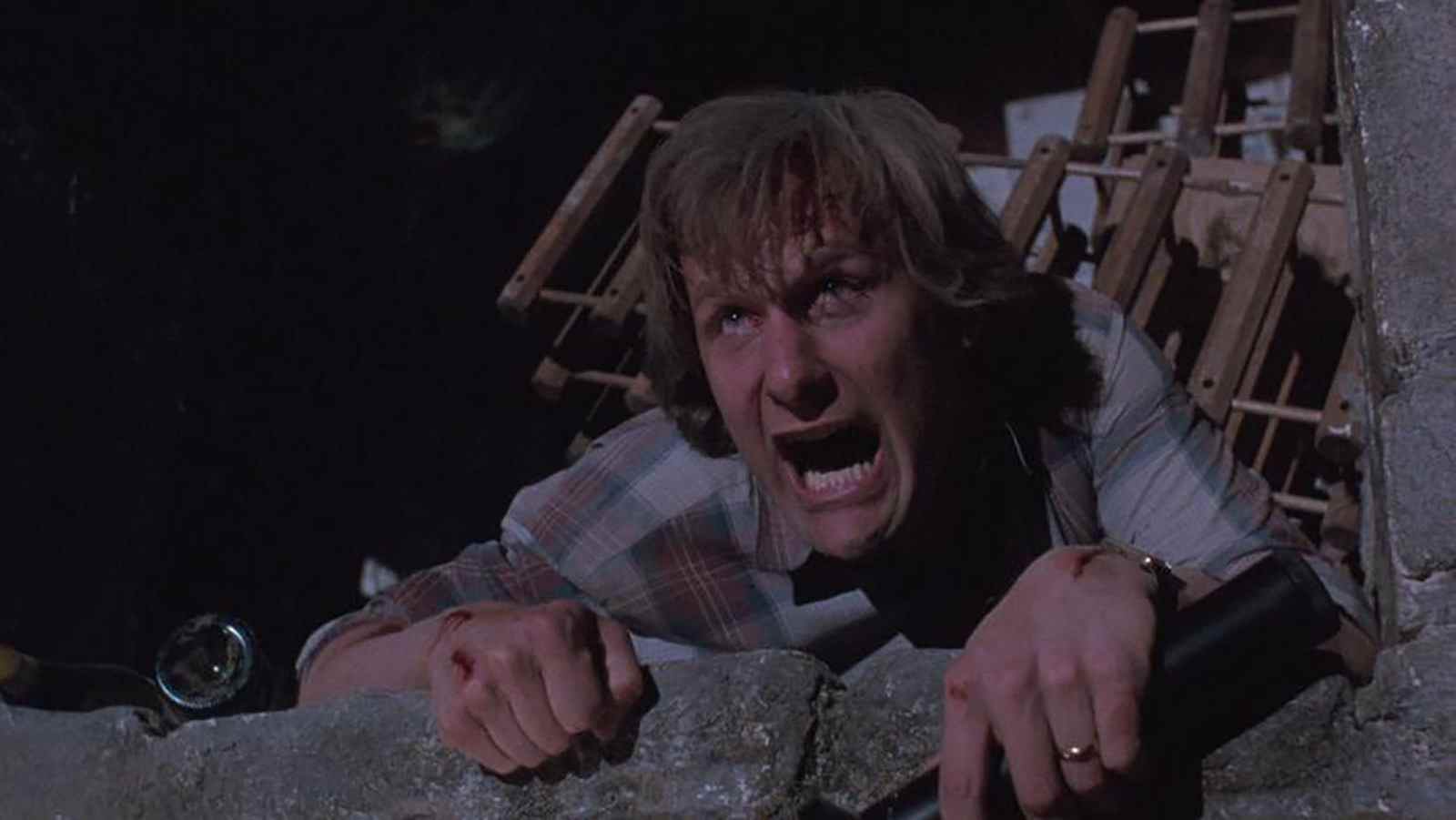 Arachnophobia Remake venant du réalisateur Freaky Christopher Landon
