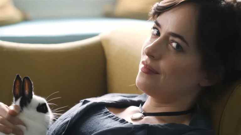 Bande-annonce de Persuasion : Dakota Johnson joue dans une adaptation de Jane Austen sur Netflix
