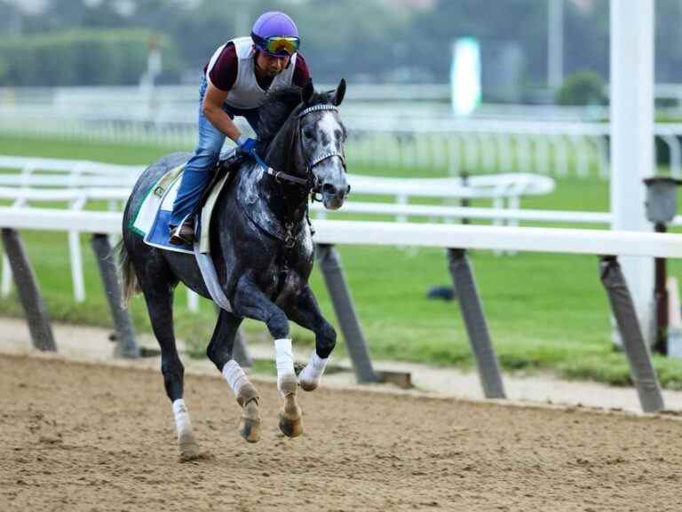 Cotes, actualités et scénarios de la dernière minute de Belmont Stakes