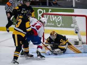 Marco Costantini (33 ans) des Bulldogs de Hamilton effectue l'arrêt contre Josh Williams (14 ans) des Oil Kings d'Edmonton lors de la deuxième période du cinquième match du tournoi à la ronde de la Coupe Memorial 2022 entre les Bulldogs de Hamilton contre les Oil Kings d'Edmonton le 24 juin , 2022, à la gare portuaire de Saint John, NB.