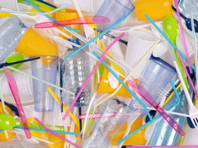 GOLDSTEIN: L’interdiction du plastique à usage unique du Premier ministre est un double problème pour les contribuables