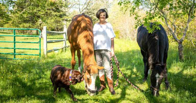 Geraldine Brooks, sur Martha’s Vineyard