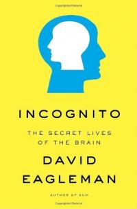 Incognito : Les vies secrètes du cerveau Résumé et description du guide d’étude