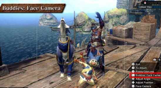 Monster Hunter Rise camera