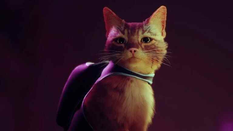 L'aventure Cyberpunk Cat Stray obtient une bande-annonce de gameplay et une date de sortie en juillet
