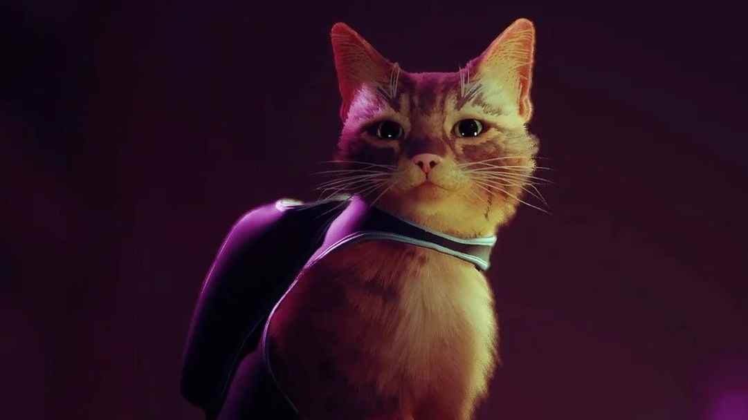 L'aventure Cyberpunk Cat Stray obtient une bande-annonce de gameplay et une date de sortie en juillet
