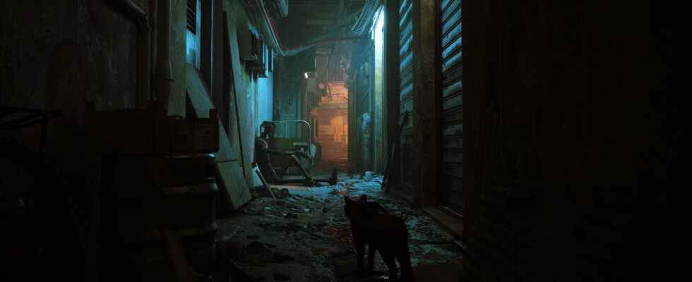 Le jeu de chat cyberpunk Stray obtient la date de sortie de juillet