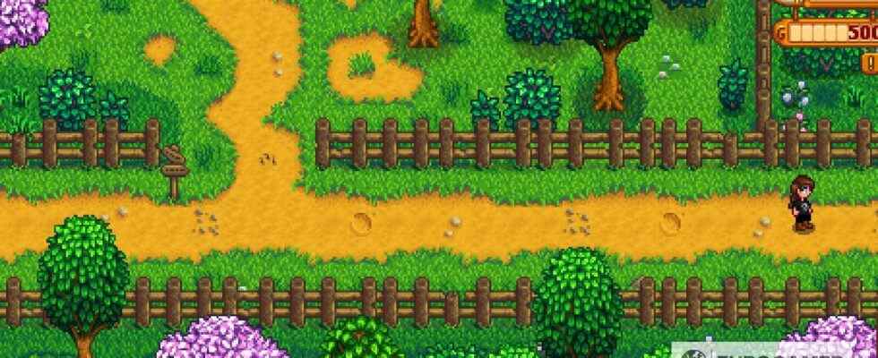 Le patch 1.6 de Stardew Valley est en route