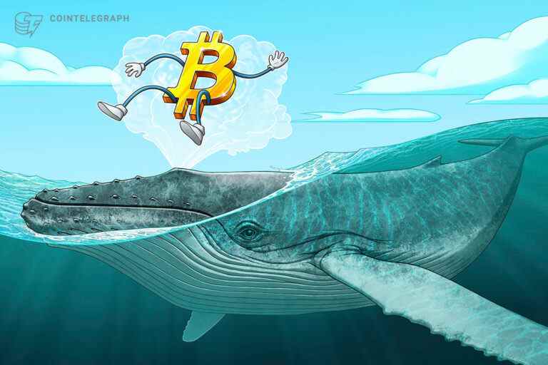 Le prix du BTC dépasse les sommets de 10 jours alors que la demande de baleines Bitcoin connaît un « énorme pic »