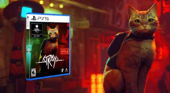 L'édition physique de STRAY PS5 annoncée