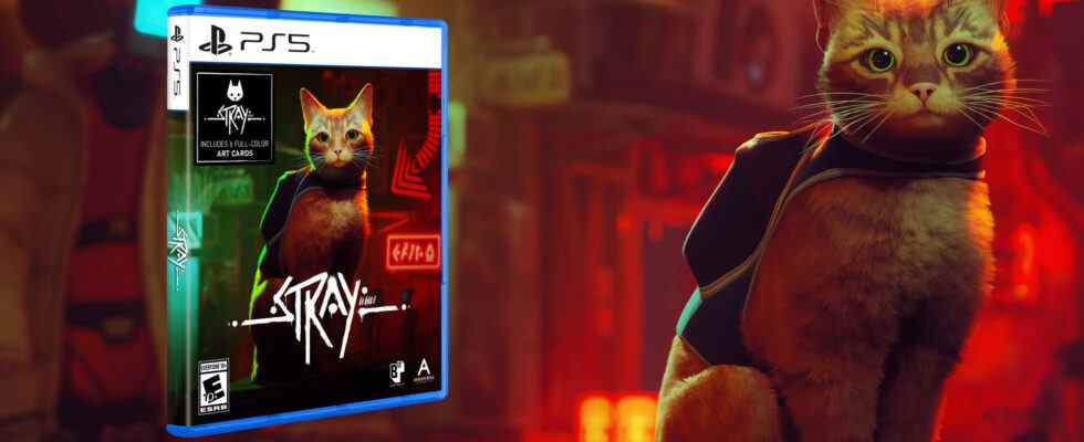 L'édition physique de STRAY PS5 annoncée