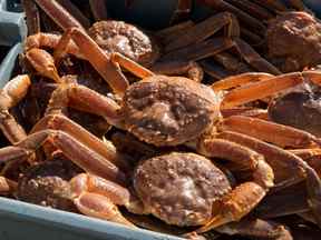 Les exportations de fruits de mer ont bondi en avril, stimulées par la hausse des prix et des volumes de crabes.