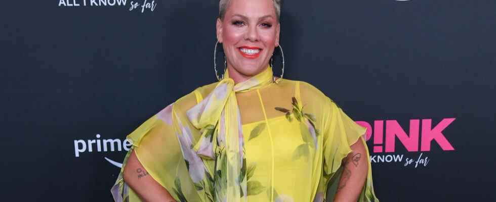 Pink, Jon Platt, PDG de Sony Publishing, Busbee seront honorés aux SONA Warrior Awards Les plus populaires doivent être lus Inscrivez-vous aux newsletters Variety Plus de nos marques