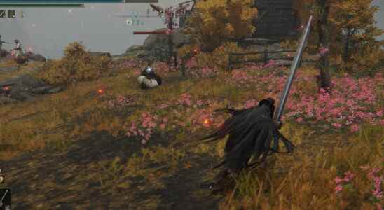 Remplacez l'esquive d'Elden Ring par le pas rapide de Sekiro et Bloodborne en utilisant ce mod