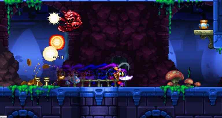 Shantae and the Pirate's Curse est libre de continuer sur GOG maintenant
