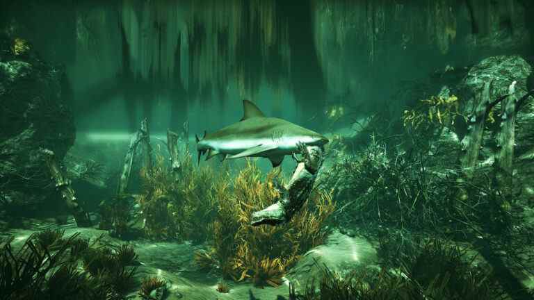 Shark RPG Maneater est gratuit cette semaine sur Epic Games Store

