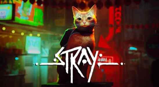 Stray Purrs Its Way to PS4 & PS5 en juillet, sera sur PS Plus Extra & Premium