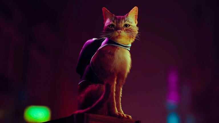 Stray, le jeu Cyberpunk Cat de PS5, obtient une date de sortie
