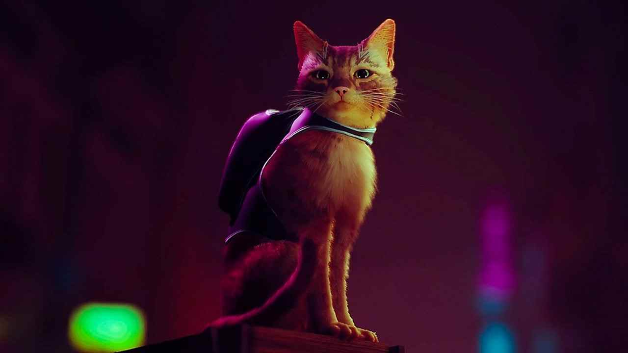 Stray, le jeu Cyberpunk Cat de PS5, obtient une date de sortie
