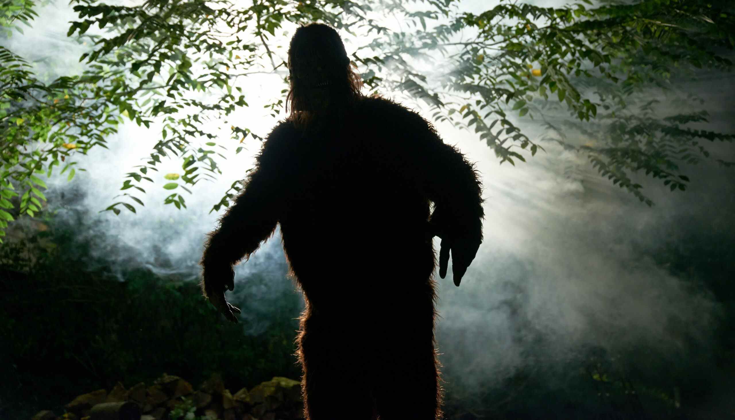 Talking Strange Bigfoot