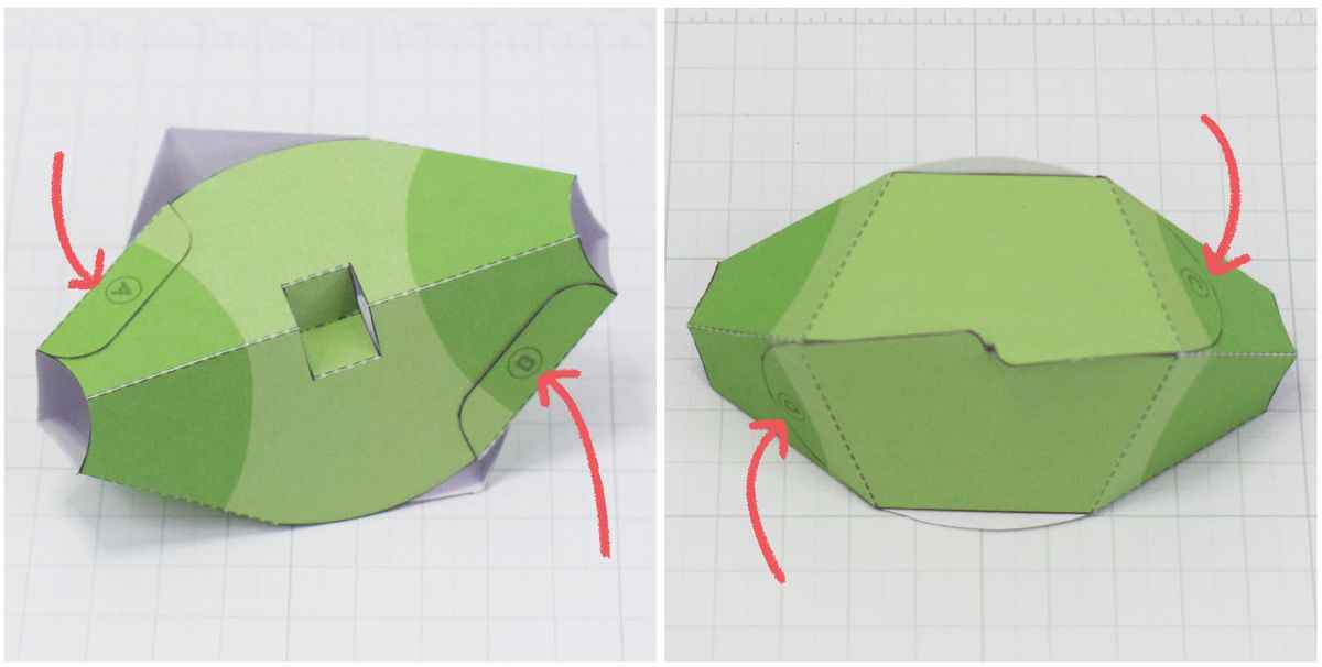 Processus de métapode de carton d'oeufs 5/8