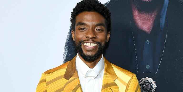 Chadwick Boseman de Black Panther remporte une nomination posthume aux Emmy Awards pour l'émission Marvel

