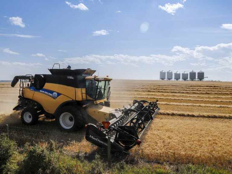 Les aliments et les boissons ouvrent la voie alors que les ventes en gros augmentent de 1,6 % en mai