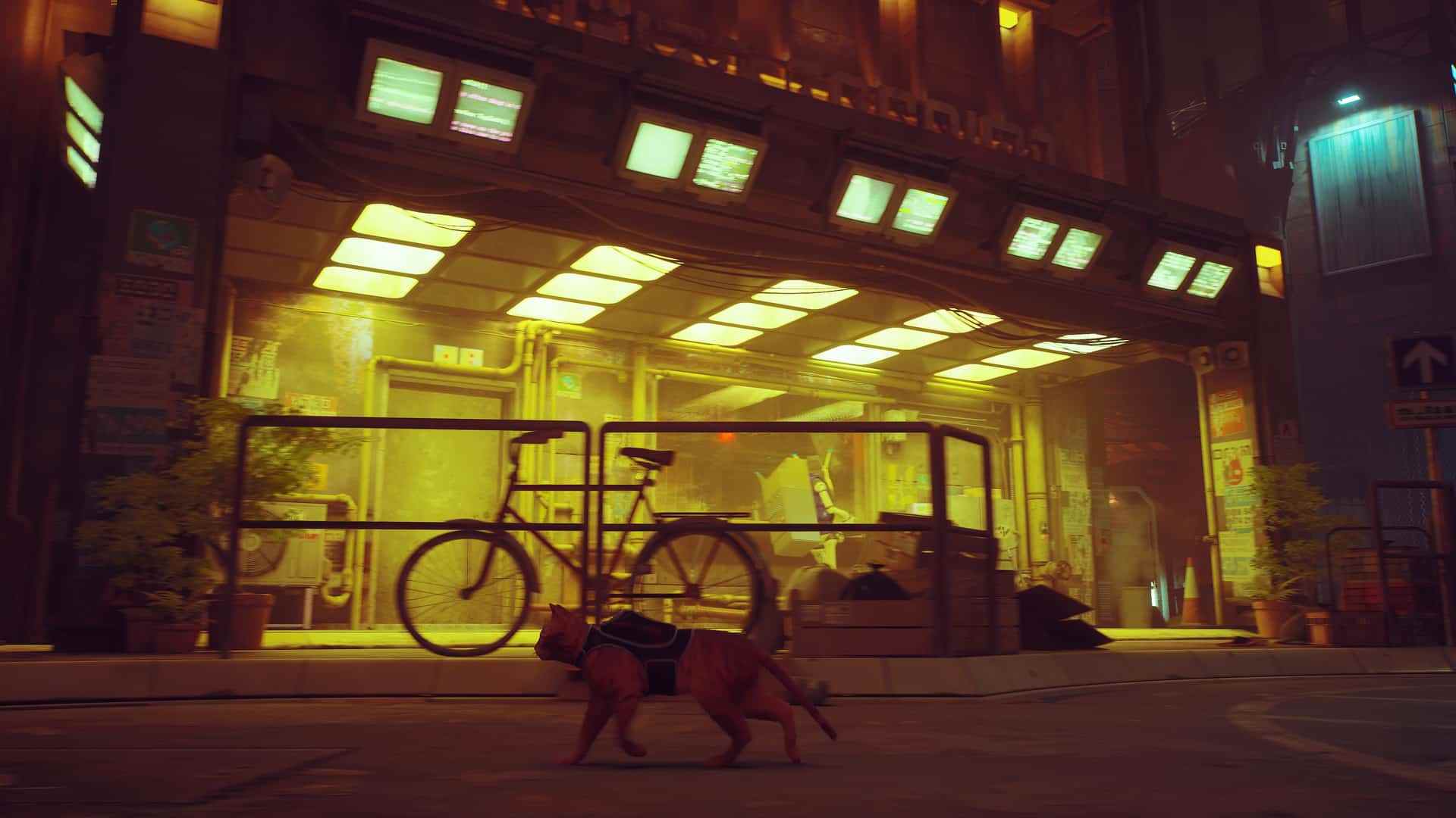 Le jeu BlueTwelve PS4 PS5 Stray est la perspective d'un chat sur la vie des chiens, l'espoir dans le cyberpunk dystopique ou la vie d'un chien Hopepunk