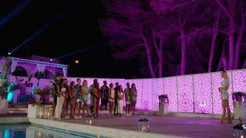 adam, paige, gamelle, danica, andrew, tasha, dami, indiyah, deji, été, luca, gemma, davide, ekinsu et laura whitmore,