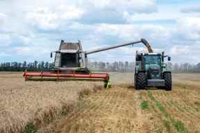 Des agriculteurs récoltent un champ de blé dans la région ukrainienne de Kharkiv le 19 juillet 2022, au milieu de l'invasion russe de l'Ukraine.