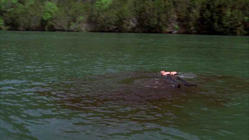 Eau sanglante avec un corps flottant à Piranha