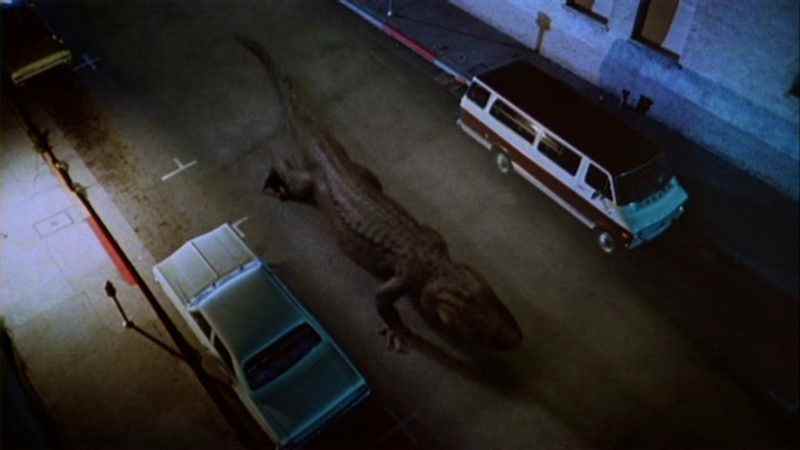 Un gigantesque alligator rampe à côté de deux voitures dans une rue d'Alligator