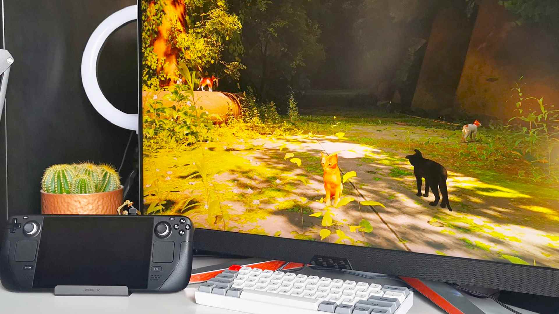 Station d'accueil Jsaux Steam Deck connectée au moniteur de jeu avec Stray à l'écran